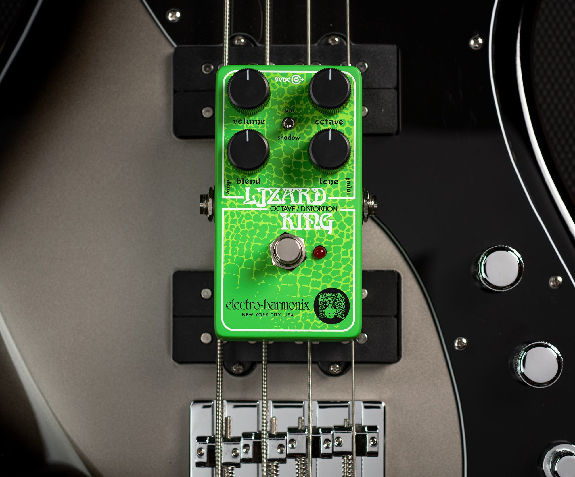 Lizard King Octave Fuzz | Made for Bass, Killer on Guitar