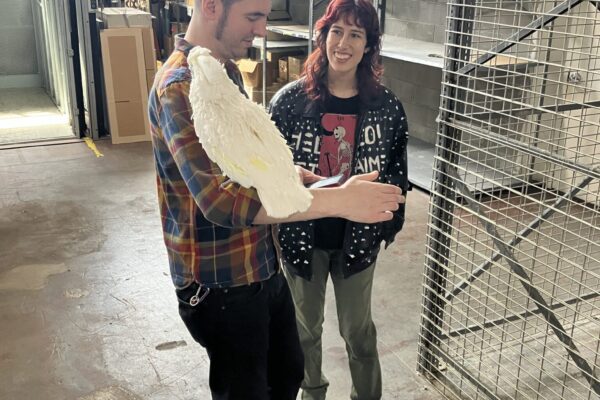 20250519_193636578_iOS