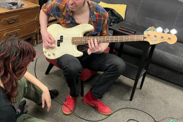 puzzled-panter-ehx-2