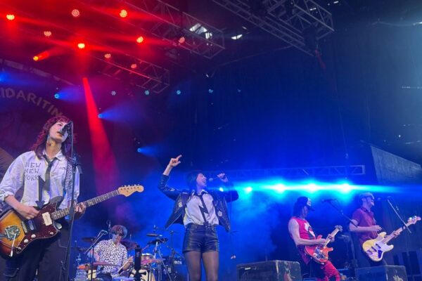 puzzled-panter-ehx-3